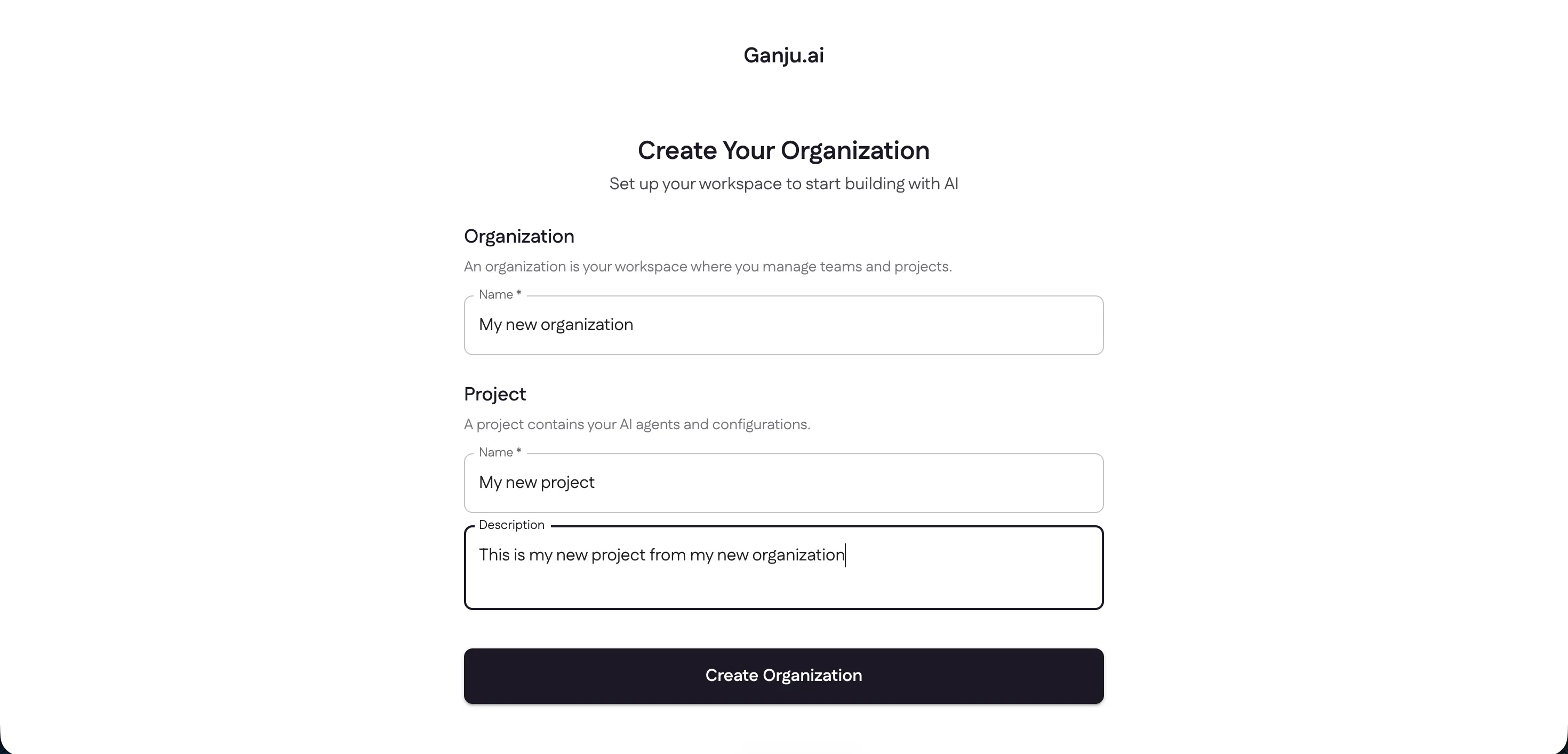 The Create Your Organization form, with fields for the organization name, project name, and project description