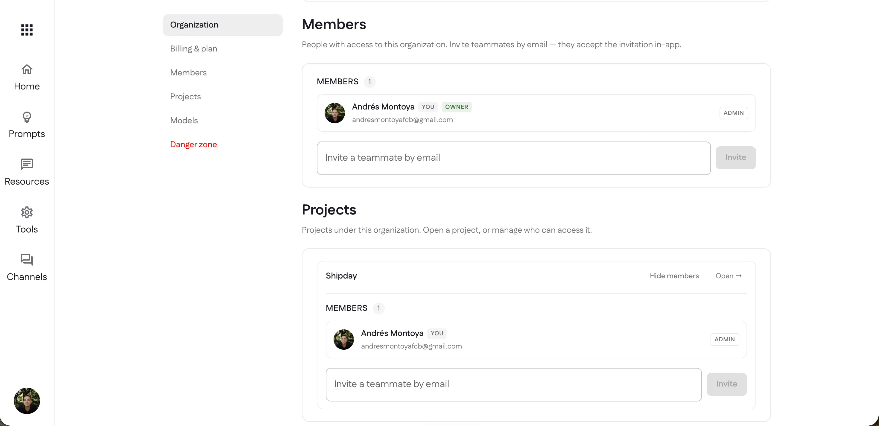 The Members section and the Projects section, each with an invite-by-email field and roles